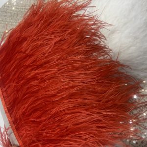 Ostrich feathers